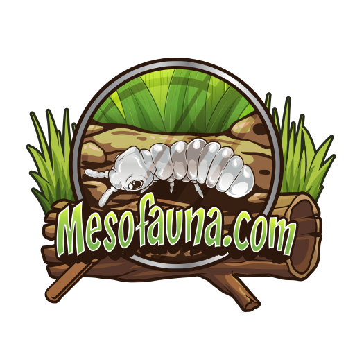 Mesofauna.com