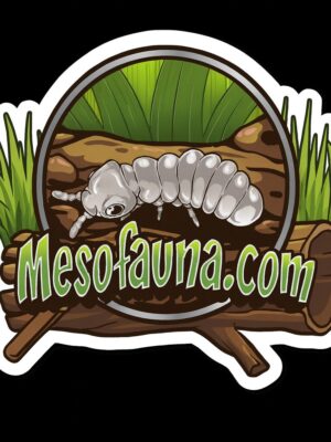 Mesofauna.com Logo Sticker